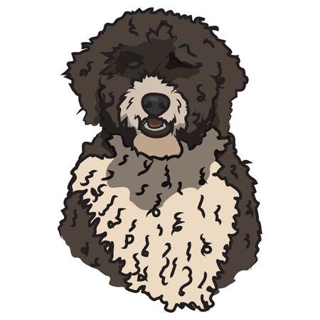 Signmission Spanish Water Dog Dog Decal, Dog Lover Decor Vinyl Sticker D-12-Spanish Water Dog
